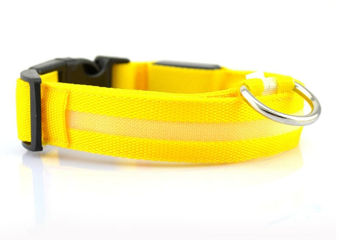 Safety Glow LED Dog Collar (Battery Powered, All Sizes)