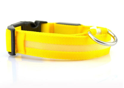 Safety Glow LED Dog Collar (Battery Powered, All Sizes)