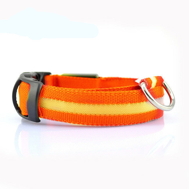 Safety Glow LED Dog Collar (Battery Powered, All Sizes)