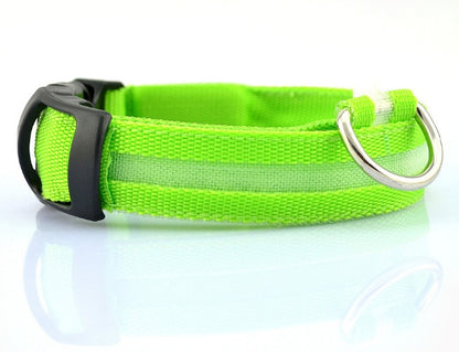 Safety Glow LED Dog Collar (Battery Powered, All Sizes)