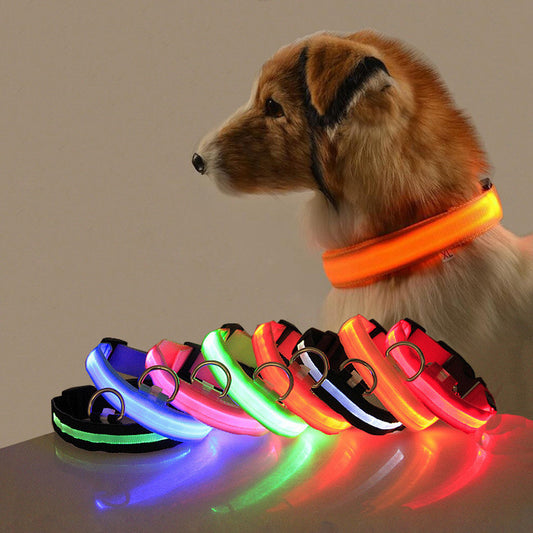 Safety Glow LED Dog Collar (Battery Powered, All Sizes)