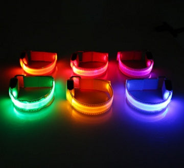Safety Glow LED Dog Collar (Battery Powered, All Sizes)